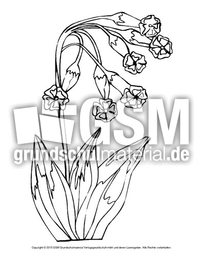 Ausmalbild-Schlüsselblume-2.pdf